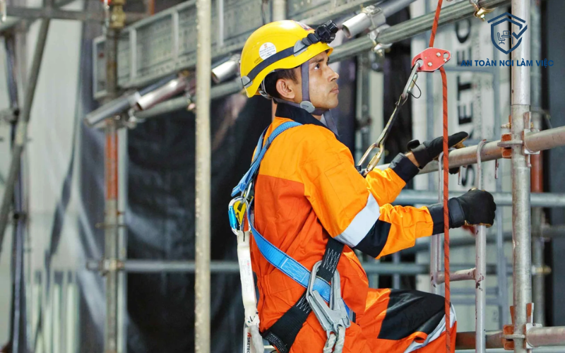 Quy trình đào tạo trước khi cấp thẻ