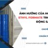 Ethyl Formate