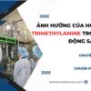 Trimethylamine