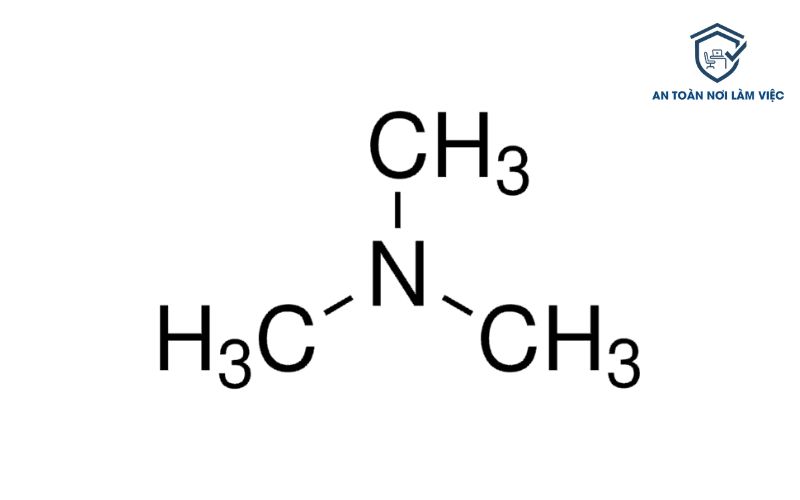 Trimethylamine