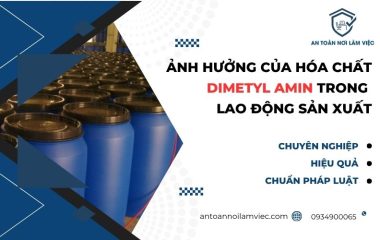 Dimetyl amin