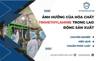 Trimethylamine